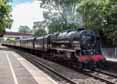 Photograph of SCOTS GUARDSMAN - 46115 SCOTS GUARDSMAN at Aldermaston on 16/07/16