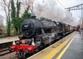 Photograph of SHERWOOD FORESTER - 45231 SHERWOOD FORESTER at Aldermaston on 05/12/23
