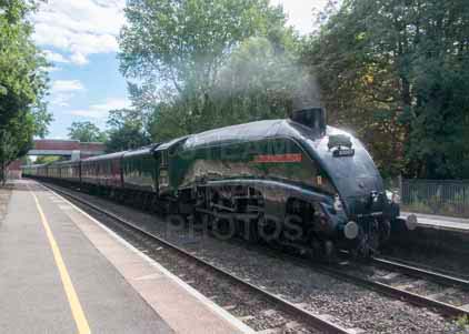Purchase photo of 60009 UNION OF SOUTH AFRICA at Aldermaston
