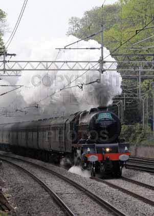 Purchase photo of 46201 PRINCESS ELIZABETH at Apsley