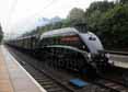Photograph of UNION OF SOUTH AFRICA - 60009 UNION OF SOUTH AFRICA at Apsley on 20/09/14