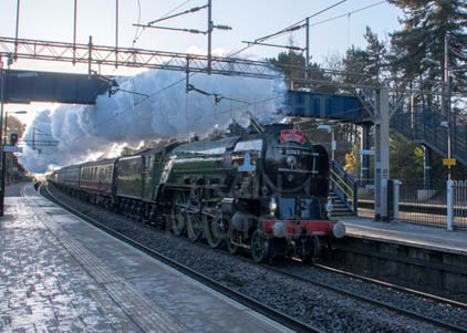 Purchase photo of 60163 TORNADO at Apsley