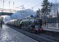 Photograph of TORNADO - 60163 TORNADO at Apsley on 25/11/17