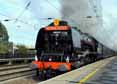 Photograph of DUCHESS OF SUTHERLAND - 46233 DUCHESS OF SUTHERLAND at Arlesey on 16/10/10