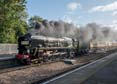 Photograph of CLAN LINE - 35028 CLAN LINE at Ascot on 09/10/19