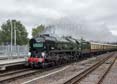 Photograph of CLAN LINE - 35028 CLAN LINE at Ascot on 11/09/19