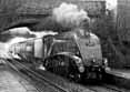 Photograph of UNION OF SOUTH AFRICA - 60009 UNION OF SOUTH AFRICA at Culham on 29/11/14