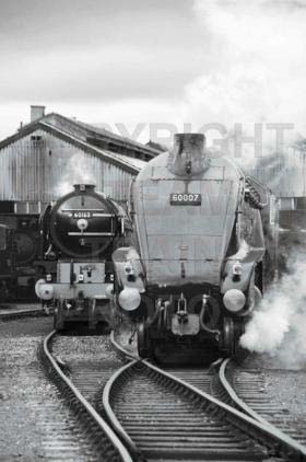 Purchase posters of 60007 SIR NIGEL GRESLEY
