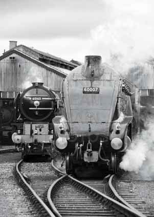 Purchase photo of 60007 SIR NIGEL GRESLEY at Didcot