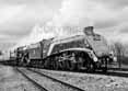 Photograph of SIR NIGEL GRESLEY - 60007 SIR NIGEL GRESLEY at Didcot on 05/04/14