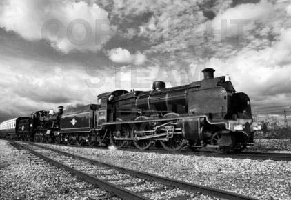 Purchase posters of 31806 U