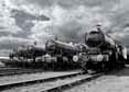 Photograph of Steam Images - Great Western Line Up at Didcot on 07/05/10