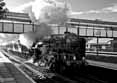 Photograph of OLIVER CROMWELL - 70013 OLIVER CROMWELL at Tilehurst on 06/10/12