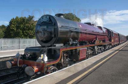 Purchase posters of 46201 PRINCESS ELIZABETH