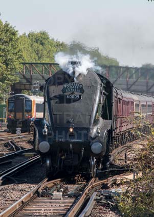 Purchase photo of 60009 UNION OF SOUTH AFRICA at Basingstoke
