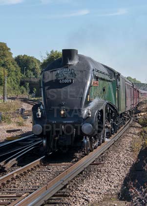Purchase photo of 60009 UNION OF SOUTH AFRICA at Basingstoke