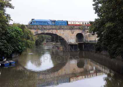 Purchase photo of 4464 BITTERN at Bath