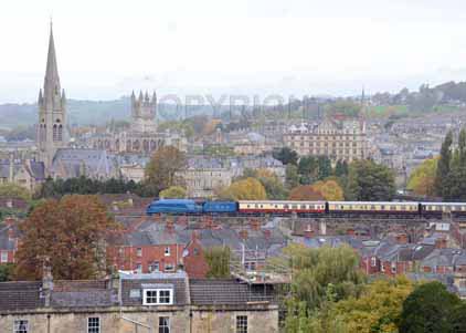 Purchase photo of 4464 BITTERN at Bath