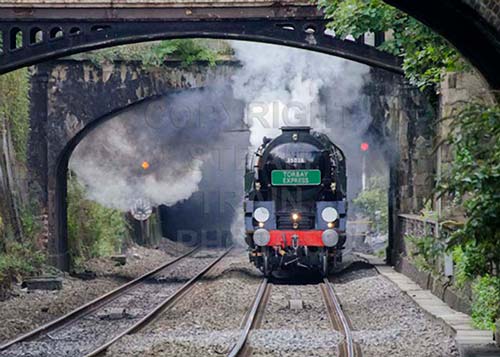 See large image