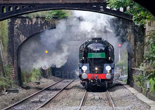See large image
