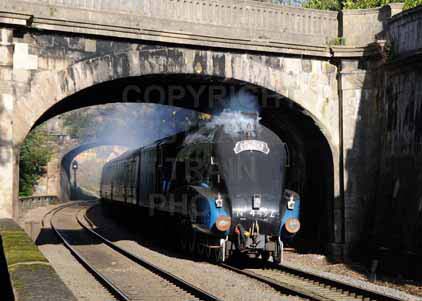 Purchase photo of 4492 DOMINION OF NEW ZEALAND (BITTERN) at Bath