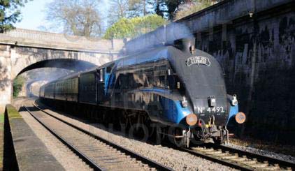 Purchase posters of 4492 DOMINION OF NEW ZEALAND (BITTERN)