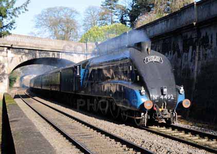 Purchase photo of 4492 DOMINION OF NEW ZEALAND (BITTERN) at Bath