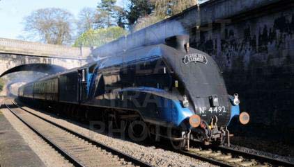 Purchase posters of 4492 DOMINION OF NEW ZEALAND (BITTERN)