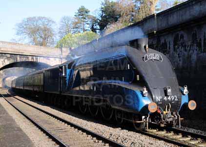 Purchase photo of 4492 DOMINION OF NEW ZEALAND (BITTERN) at Bath