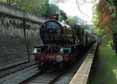 Photograph of NUNNEY CASTLE - 5029 NUNNEY CASTLE at Bath on 24/07/11