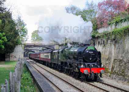 Purchase photo of 46100 ROYAL SCOT at Bath