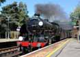 Photograph of SIR LAMIEL - 30777 SIR LAMIEL at Beaulieu Road on 18/08/10