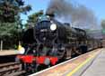 Photograph of SIR LAMIEL - 30777 SIR LAMIEL at Beaulieu Road on 18/08/10