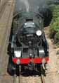 Photograph of SIR LAMIEL - 30777 SIR LAMIEL at Beaulieu Road on 18/08/10