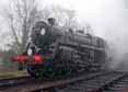 Photograph of CAMELOT - 73082 CAMELOT at Bluebell Railway on 01/11/15