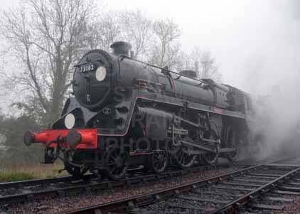 Purchase photo of 73082 CAMELOT at Bluebell Railway