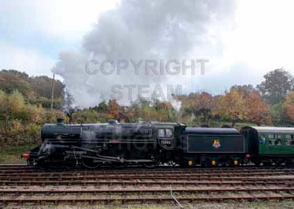 Purchase photo of 73082 CAMELOT at Bluebell Railway