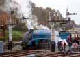 Photograph of BITTERN - 4464 BITTERN at Bluebell Railway on 01/11/15