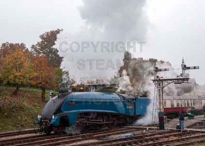 Purchase photo of 4464 BITTERN at Bluebell Railway