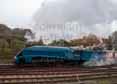Photograph of BITTERN - 4464 BITTERN at Bluebell Railway on 01/11/15