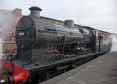 Photograph of Q - 30541 Q at Bluebell Railway on 01/11/15