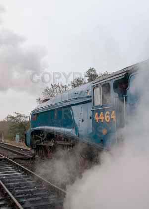 Purchase photo of 4464 BITTERN at Bluebell Railway