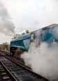 Photograph of BITTERN - 4464 BITTERN at Bluebell Railway on 01/11/15