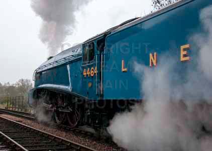 Purchase photo of 4464 BITTERN at Bluebell Railway