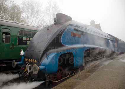 Purchase photo of 4464 BITTERN at Bluebell Railway