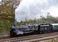 Photograph of CAMELOT - 73082 CAMELOT at Bluebell Railway on 01/11/15