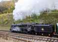 Photograph of CAMELOT - 73082 CAMELOT at Bluebell Railway on 01/11/15