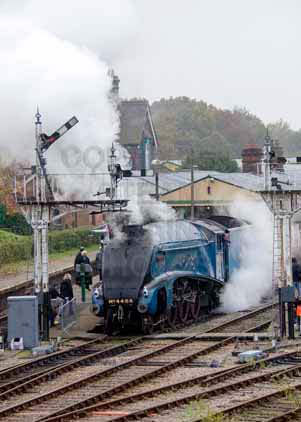 Purchase photo of 4464 BITTERN at Bluebell Railway