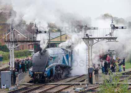 Purchase photo of 4464 BITTERN at Bluebell Railway