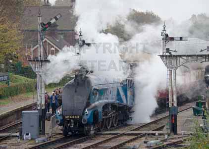 Purchase photo of 4464 BITTERN at Bluebell Railway